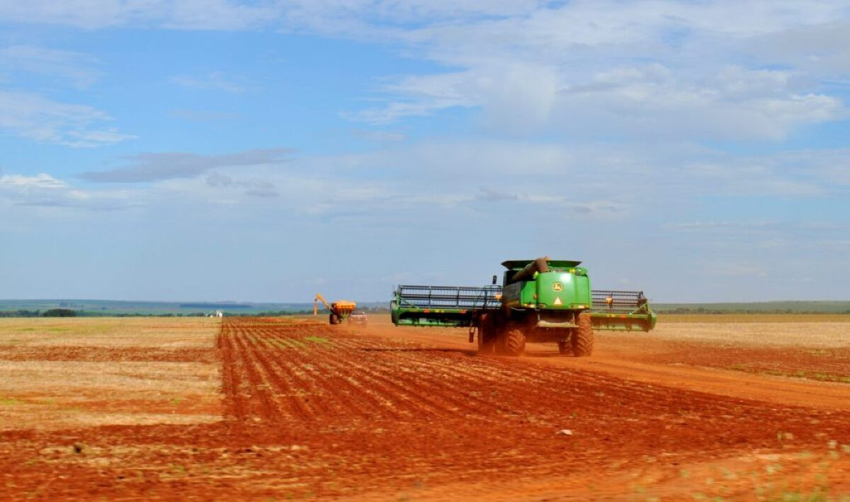 Safra de soja Mato Grosso do Sul