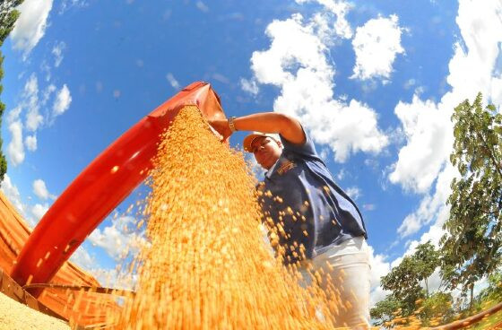 Mato Grosso do Sul encerra 2024 com superávit histórico de US$ 7,1 bilhões