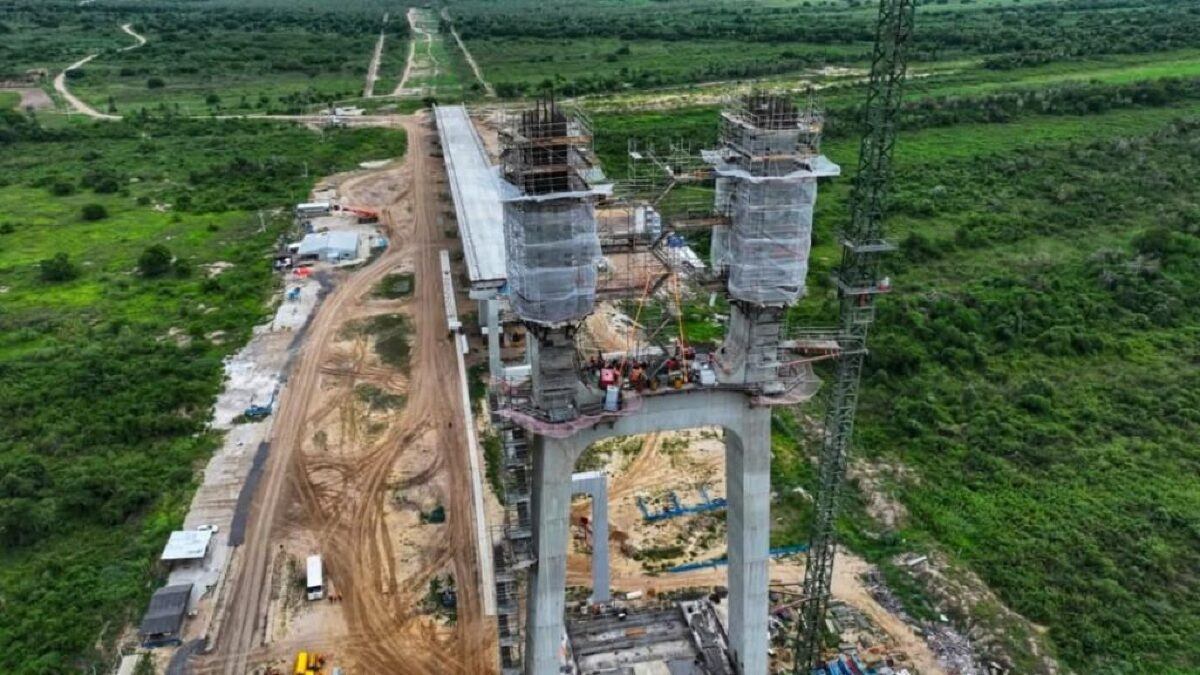 Construo da Ponte Biocenica - Janeiro 2025