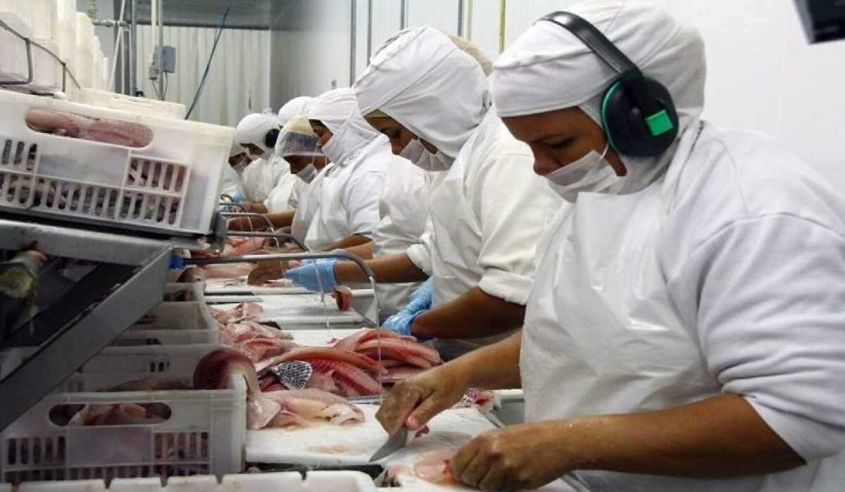 Frigorífico de peixes