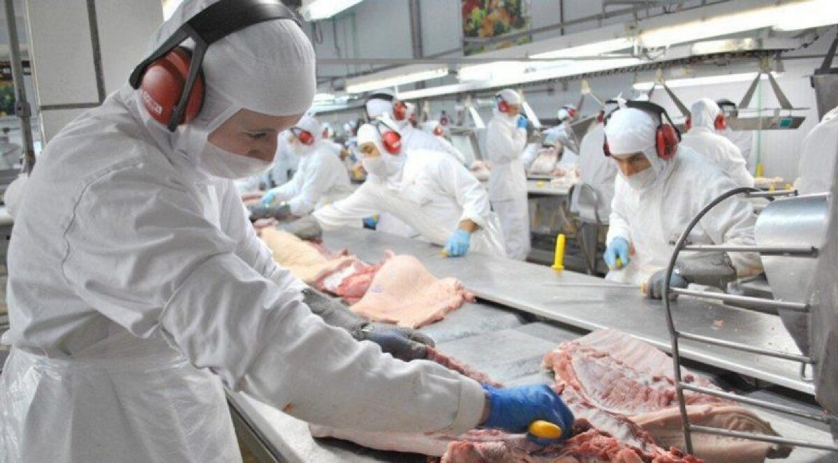 Frigorífico de carne bovina