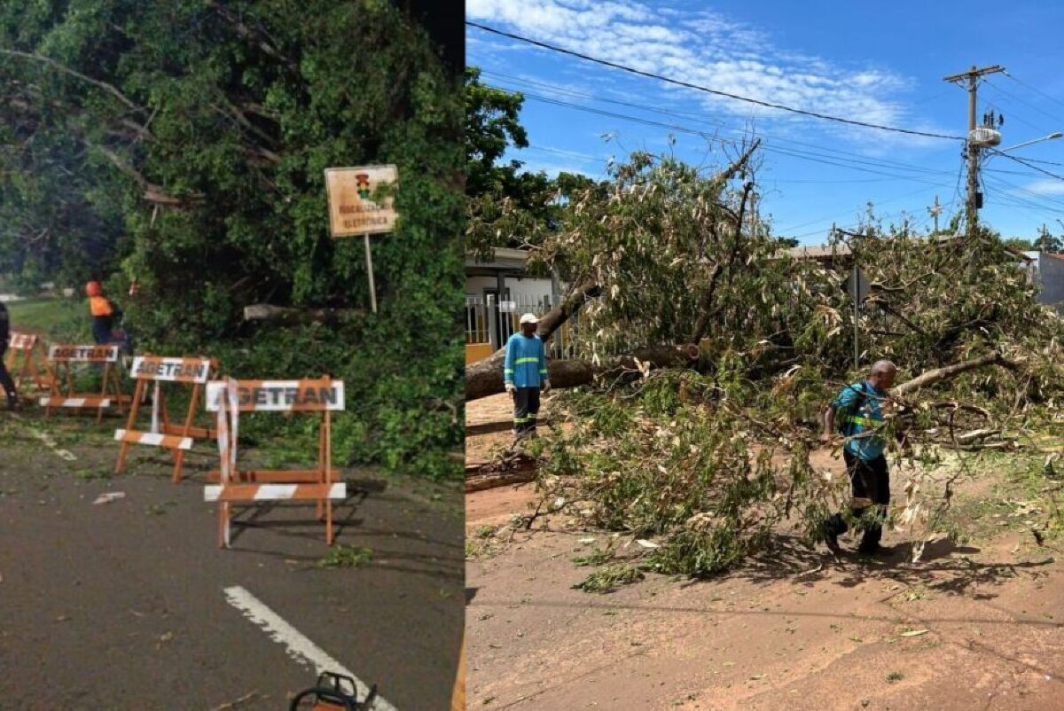 Prefeitura mobiliza for&ccedil;a-tarefa para recuperar estragos provocados pela chuva
