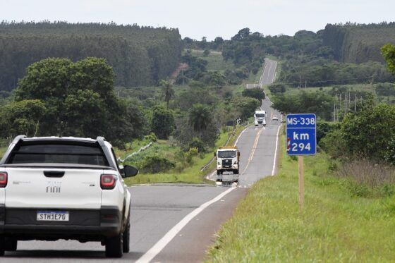 MS publica novo edital da Rota da Celulose com investimento de R$ 10 bilhões