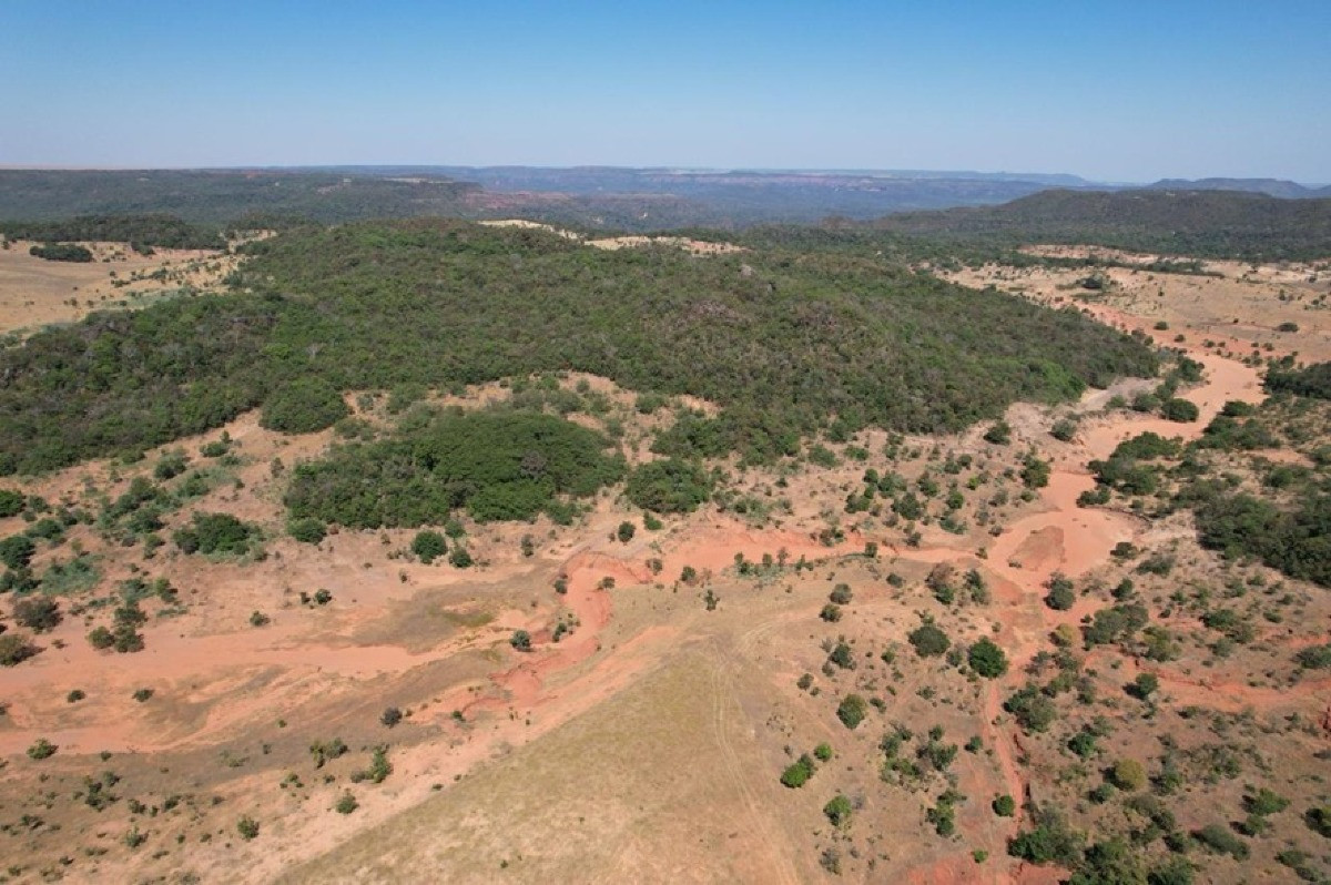 Rio Taquari recebe projeto de restauração ecológica de R$6 milhões