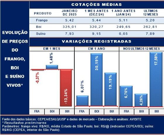 Valor bruto da produção do frango cresce 9,3% e se aproxima de R$ 106 bilhões em 2024