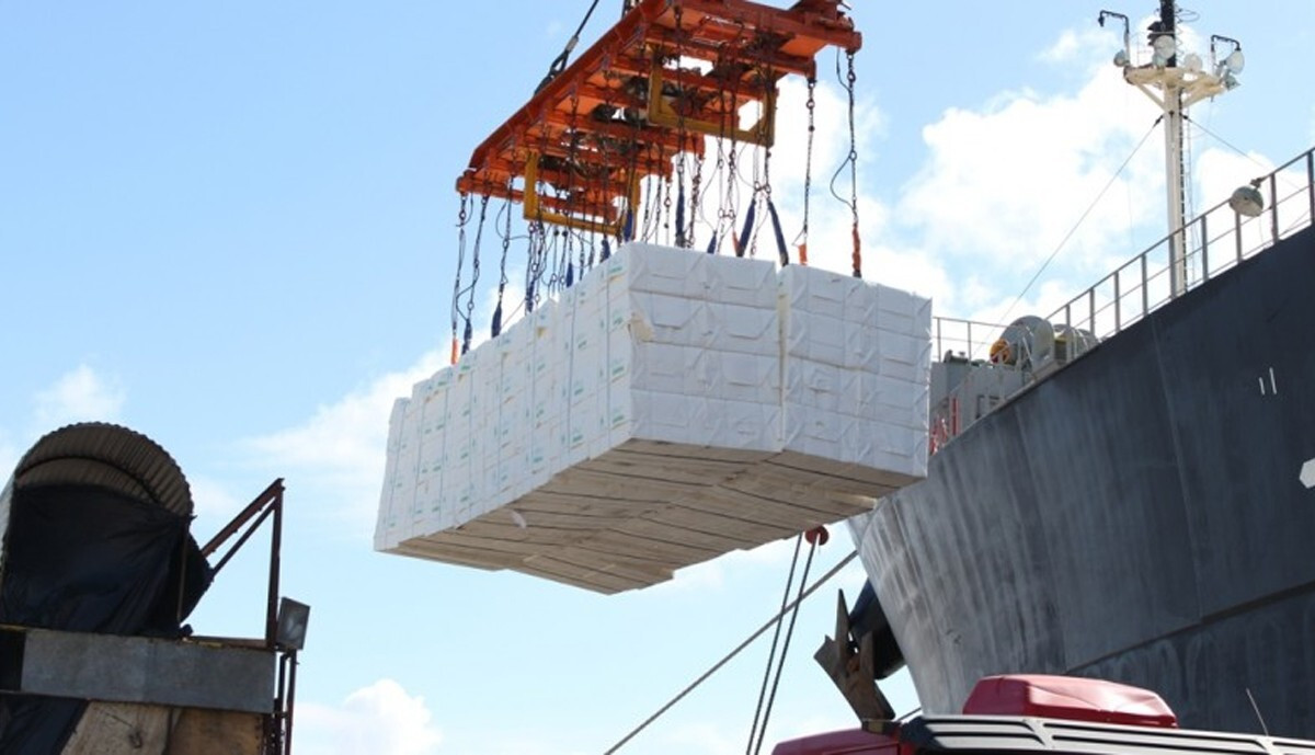 Mato Grosso do Sul &eacute; o maior exportador nacional de celulose