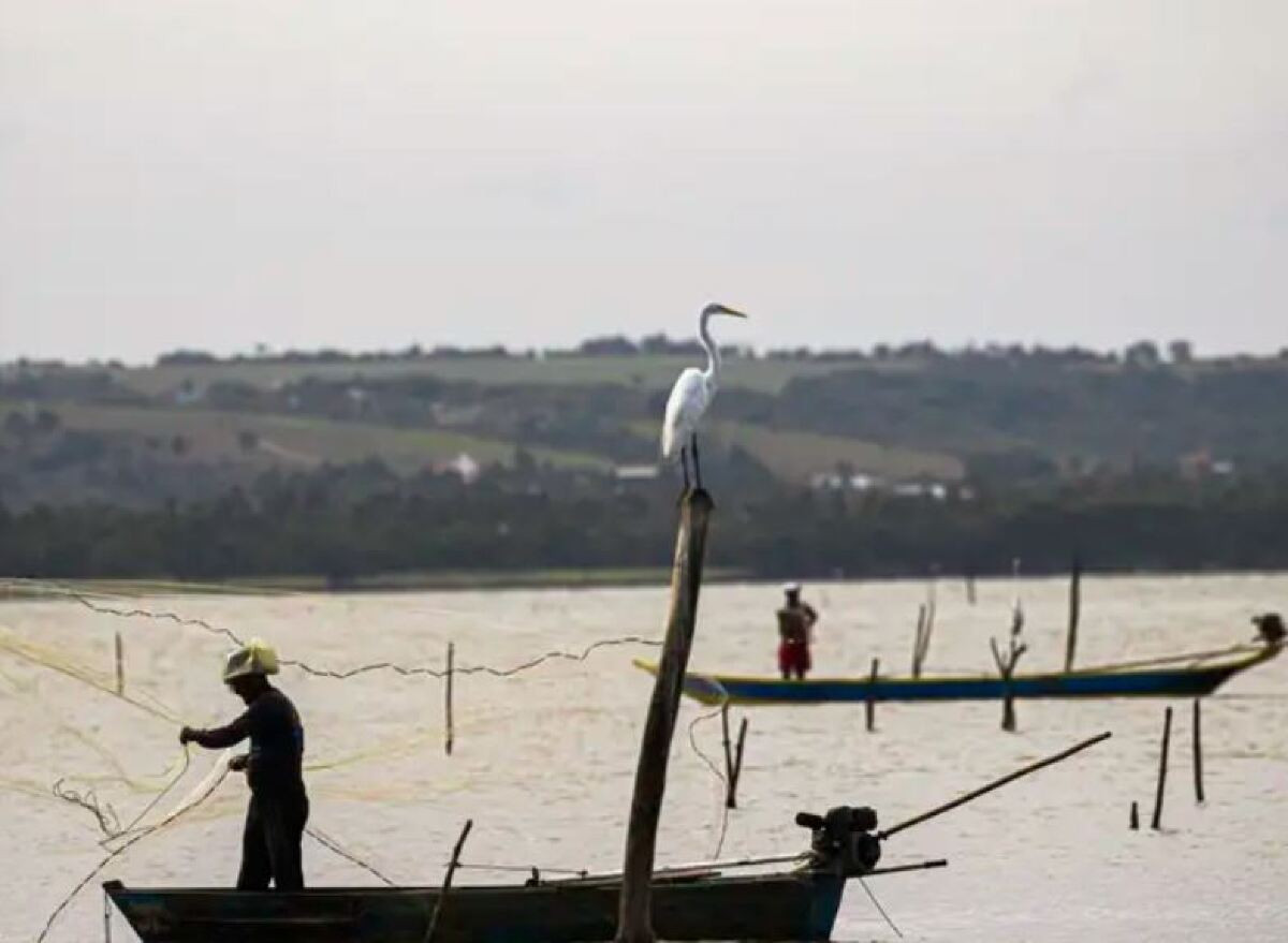 Fim de defeso na bacia hidrográfica do Rio Paraguai em 28 de fevereiro