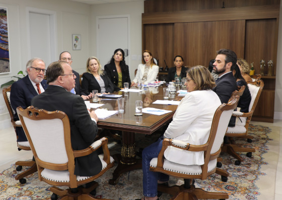 Escolta obrigat&oacute;ria e novo protocolo s&atilde;o medidas contra viol&ecirc;ncia dom&eacute;stica anunciadas pelo TJMS
