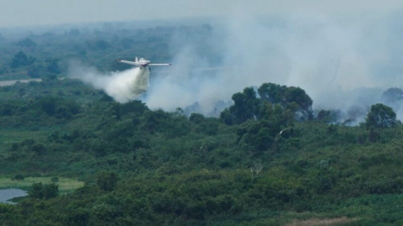 Estado quer antecipar medidas de prevenção a incêndios florestais