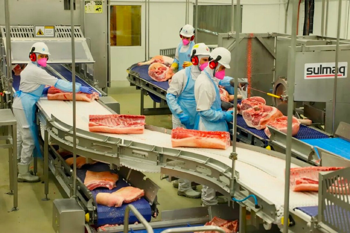 Frigorífico de carne suína