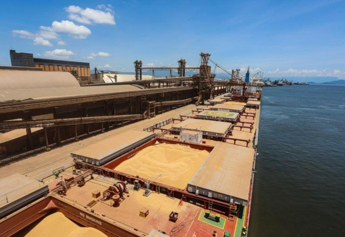Exporta&ccedil;&atilde;o de soja em Mato Grosso do Sul cai 14,29% em 2024