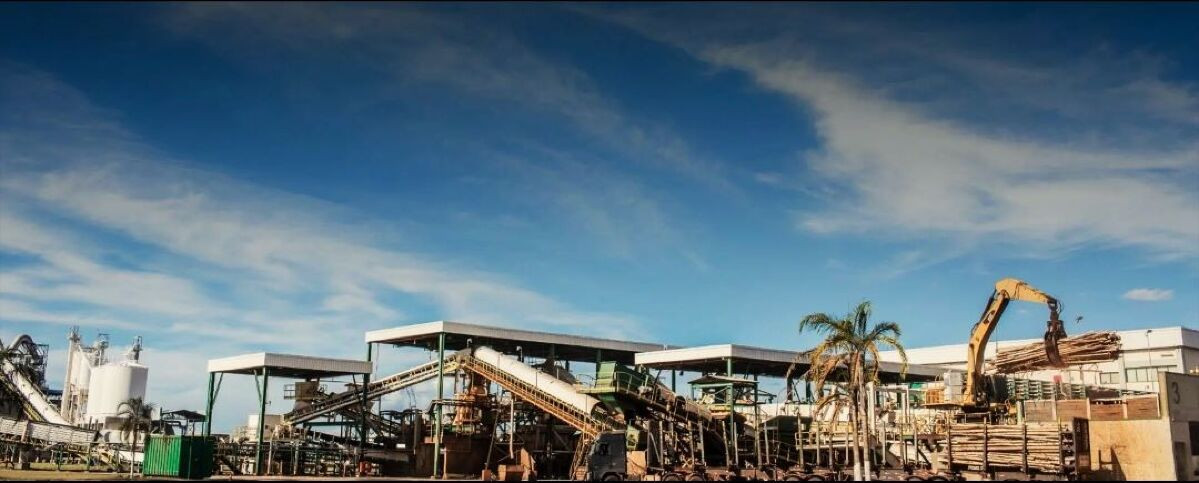 Eldorado Brasil Produção Três Lagoas MS 