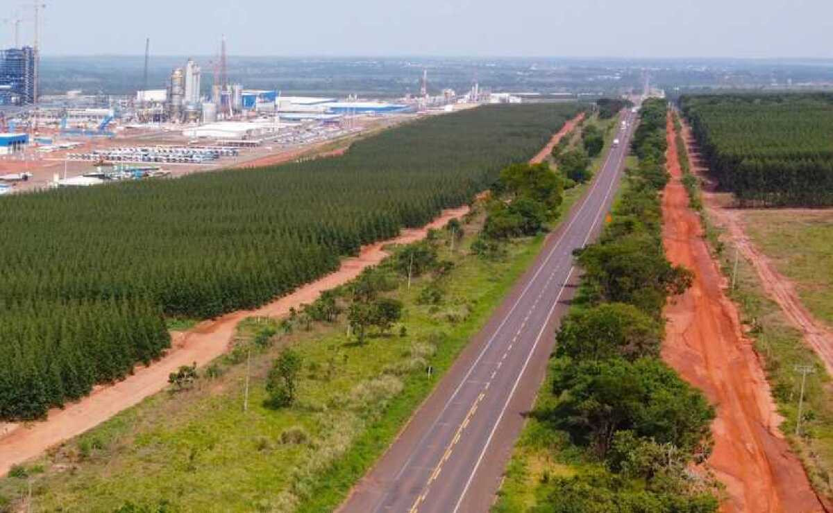 Estado reconhece oficialmente o Vale da Celulose em MS