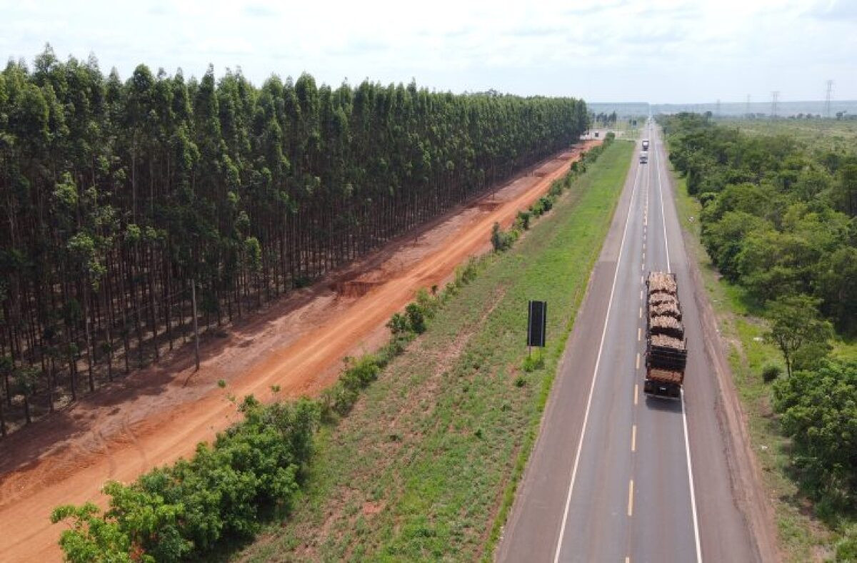 Rota da Celulose vai qualificar rodovias no Mato Grosso do Sul