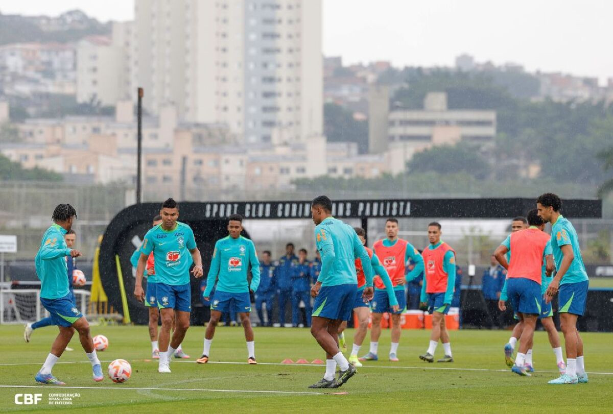 Seleção Brasileira - Treinador Carlos Ancelotti 2025