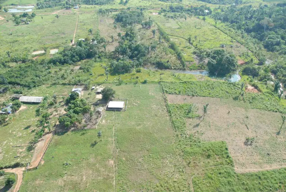 BNDES recusou R$ 806 milhões em créditos a donos de terra que desmatam