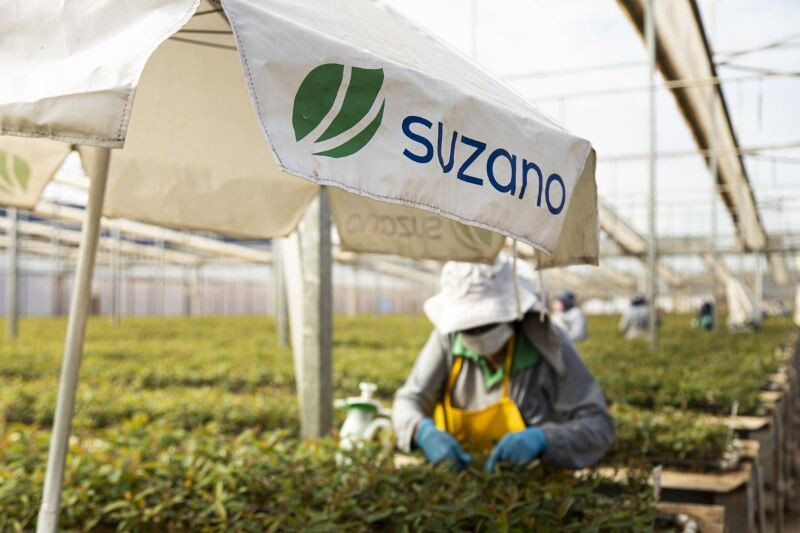 Suzano