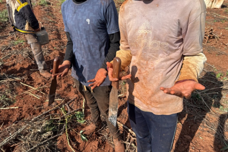 Sete paraguaios são resgatados de trabalho análogo à escravidão em lavoura de mandioca