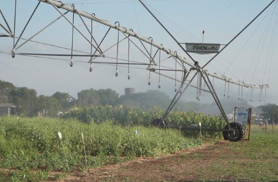 Pantanal Tech MS destaca 19 Vitrines Tecnológicas com soluções inovadoras para o bioma pantaneiro