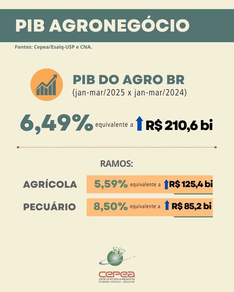 Agronegócio inicia 2025 com maior saldo de empregos formais desde 2022