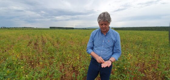 PIB de MS deve crescer 5,5% em 2025, puxado pela agropecuária