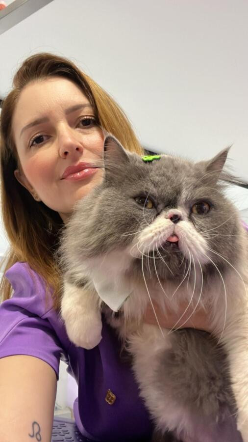 Banho em gatos? Sim, é questão de saúde e bem-estar, afirma especialista