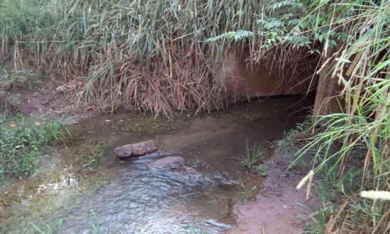 Esgoto em área de preservação é alvo de inquérito do MPMS