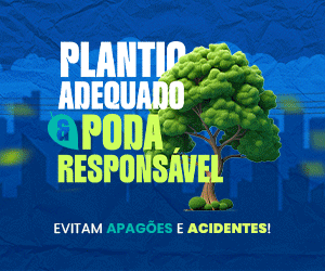 Ramal | Poda Responsavel | PI 00479