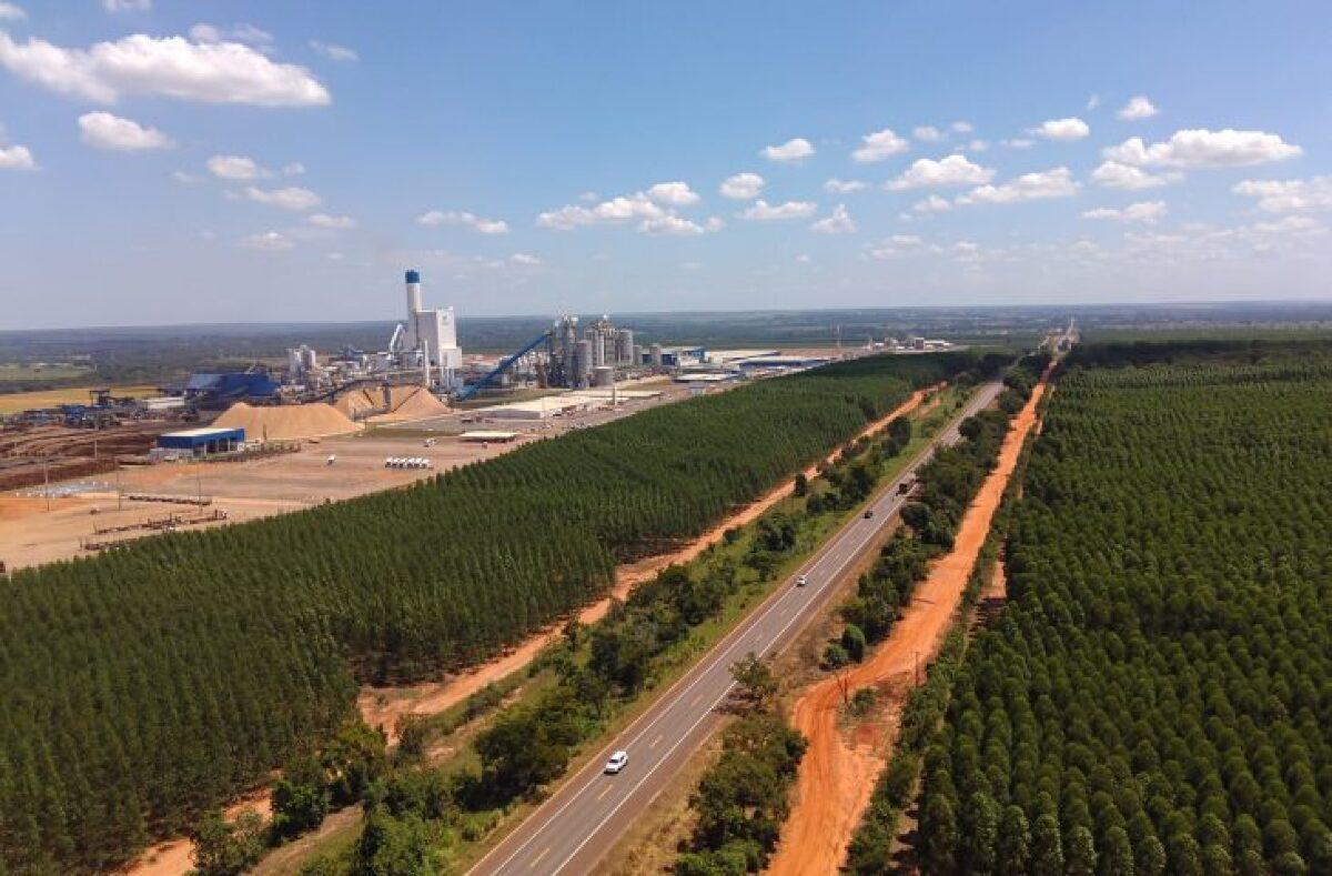 Governo de MS convoca segundo colocado em projeto da Rota da Celulose