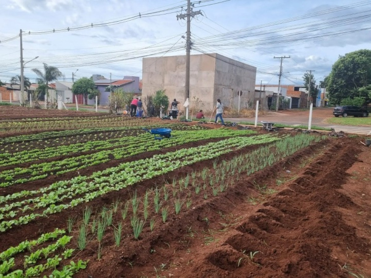 Terreno de subestação vira horta comunitária e fortalece sustentabilidade em Campo Grande