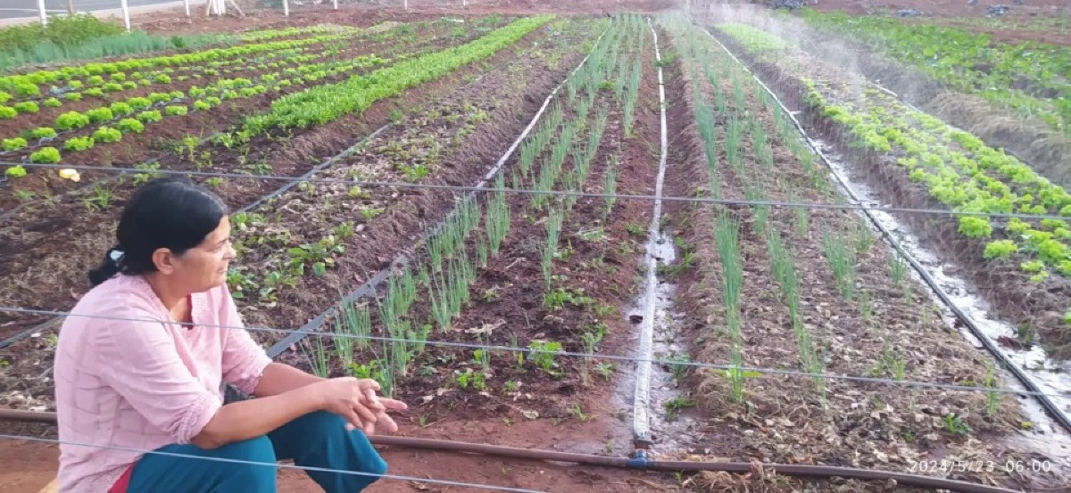 Terreno de subestação vira horta comunitária e fortalece sustentabilidade em Campo Grande