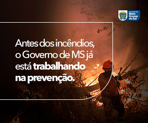Origem | Campanha Incendios | PI 2863