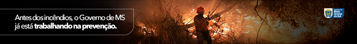 Origem | Campanha Incendios | PI 2863
