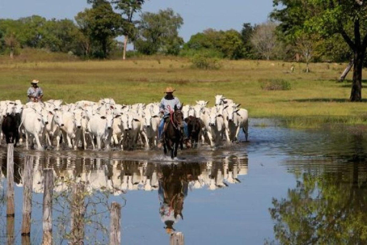 Mato Grosso do Sul é destaque na agricultura sustentável na COP30
