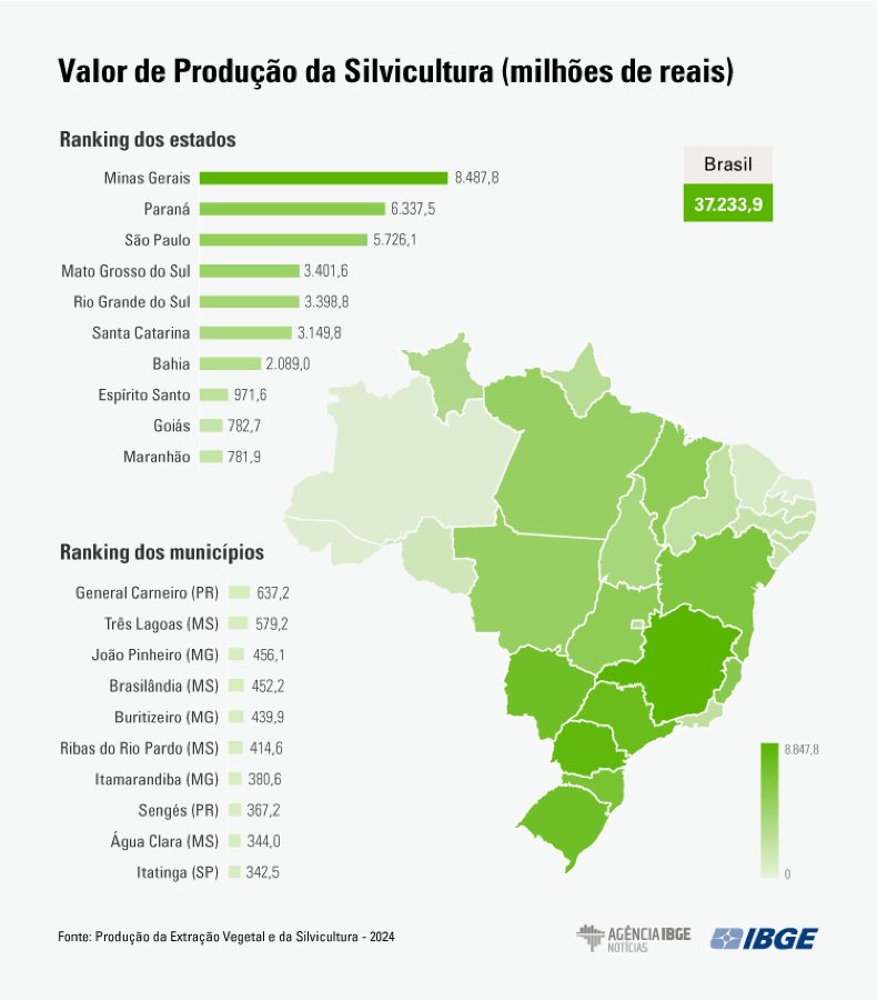 Mato Grosso do Sul ganha força na silvicultura e sobe no ranking nacional