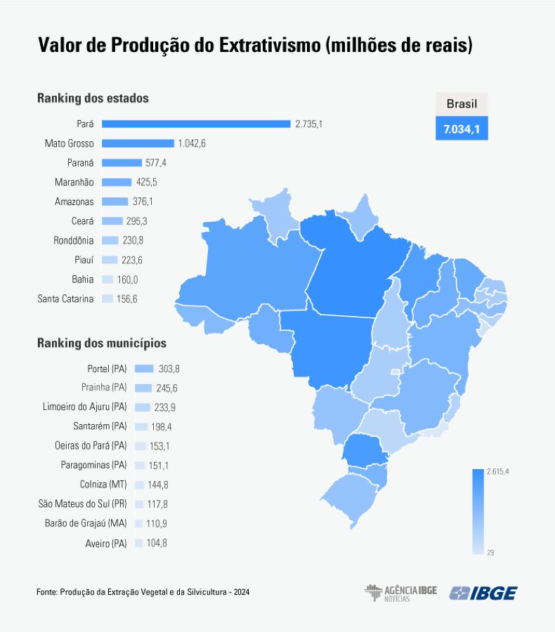 Mato Grosso do Sul ganha força na silvicultura e sobe no ranking nacional