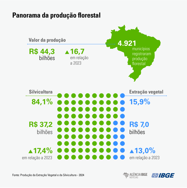 Mato Grosso do Sul ganha força na silvicultura e sobe no ranking nacional