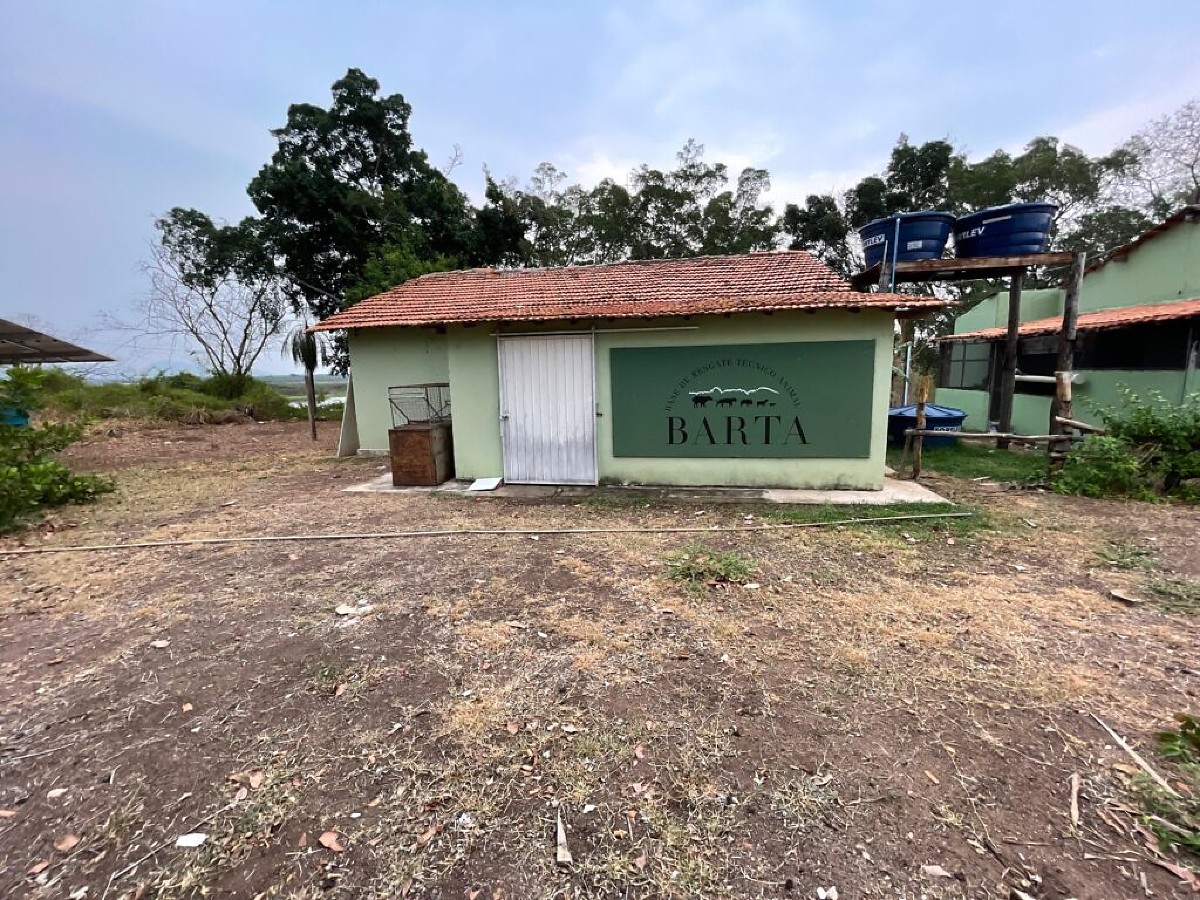 Pantanal ganha primeiro posto médico-veterinário avançado para animais selvagens