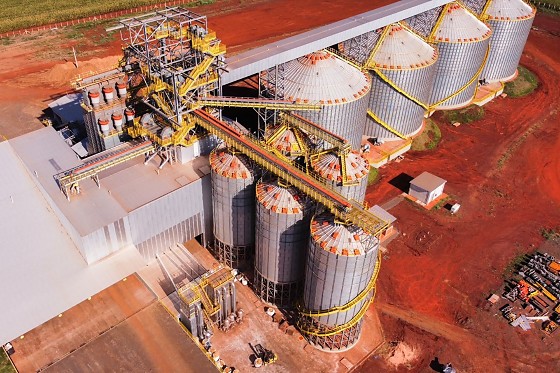 Déficit de armazenagem em Mato Grosso do Sul supera 11 milhões de toneladas e acende alerta para investimentos no campo