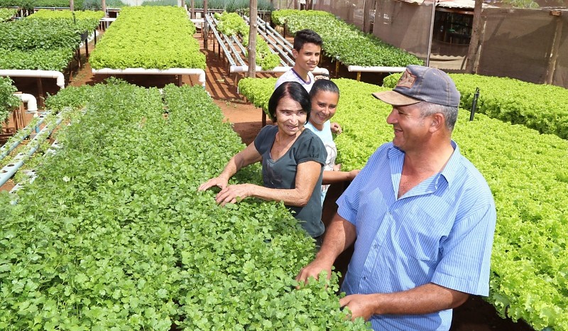 Campo Grande lança projeto AgroIntegra CG e fortalece a agricultura familiar