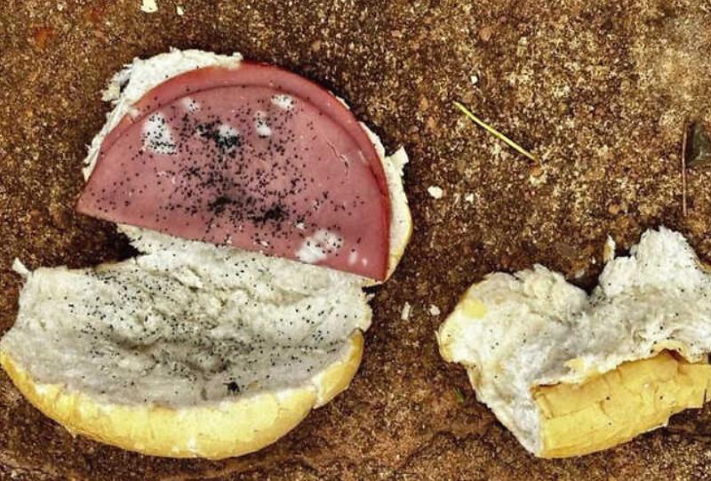 Ex-padrasto de 62 anos confessou ter colocado “chumbinho” no alimento; vítima chegou a ser socorrida, mas não resistiu