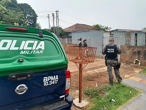Com alvos em Mato Grosso do Sul operação Libertas resgata quase 800 animais silvestres