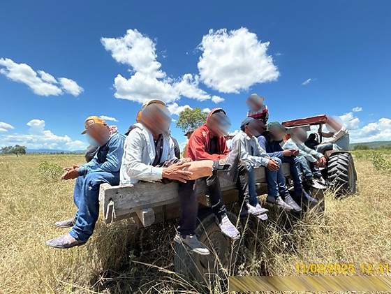 Mais de 100 trabalhadores são resgatados de condições análogas à escravidão em Mato Grosso do Sul