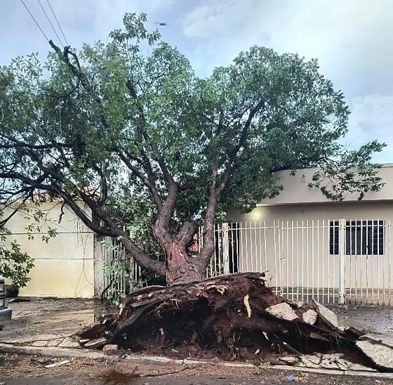 Temporal vira o tempo em minutos e provoca destruição em Mato Grosso do Sul