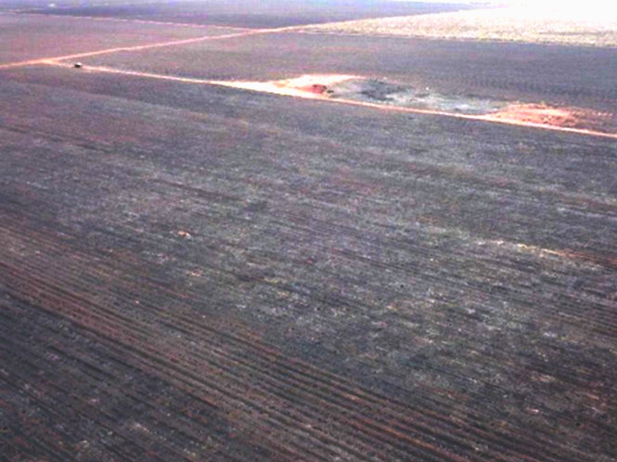 Incêndio em fazenda de Angélica gera multa milionária do Imasul