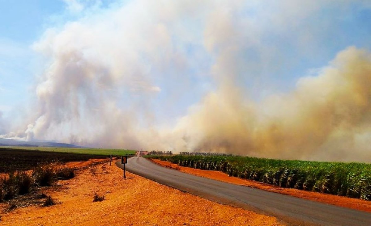 Incendio no canavial em Angelica - MPE-MS