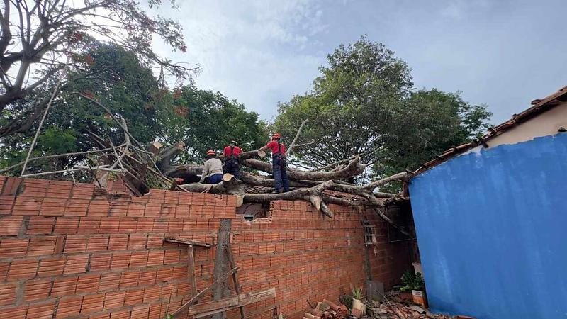 Defesa Civil e Corpo de Bombeiros seguem atendendo ocorrências em toda a cidade