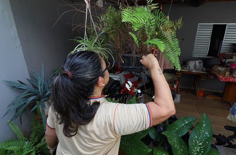 Mato Grosso do Sul realiza Dia D de combate ao Aedes aegypti no Bioparque do Pantanal