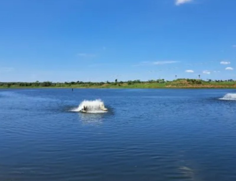 Com incentivos fiscais e apoio técnico, piscicultura avança e anima produtores em todo o Estado