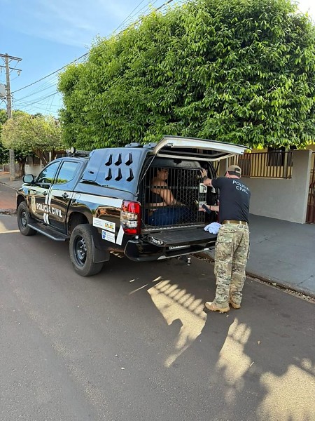 Polícia Civil desmonta quadrilha do “golpe do falso advogado” em operação nacional